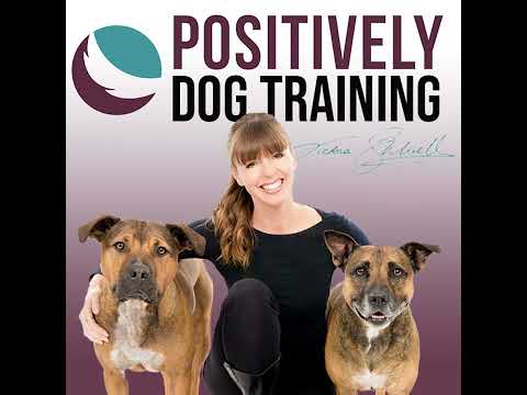 Decoding Canine Behavior: Expert Insights with Veterinary Behaviorist, Dr. Maggie O’Brian