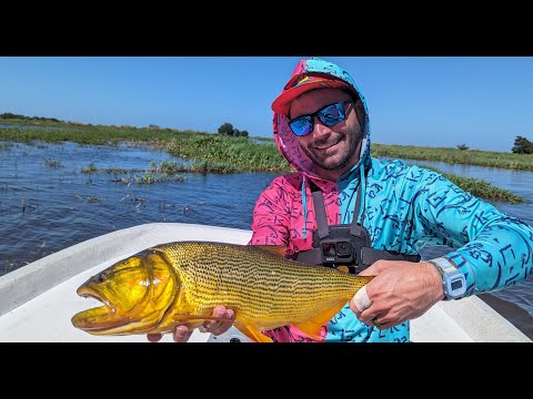 The Parana Gypsy: Fly Fishing for Golden Dorado in Argentina