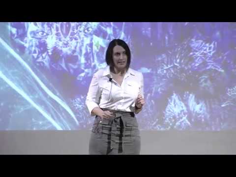 FAU 2018 3MT® Three Minute Thesis Championship - René Miller-Xavier