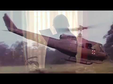 The PRIMITIVES Group - The PRIMITIVES Group  Save Roses In My Memory