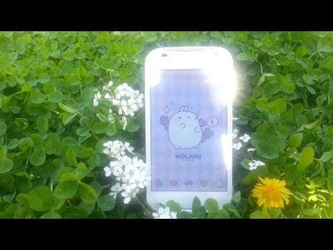 Molang Cup Cake Pink Atom Video