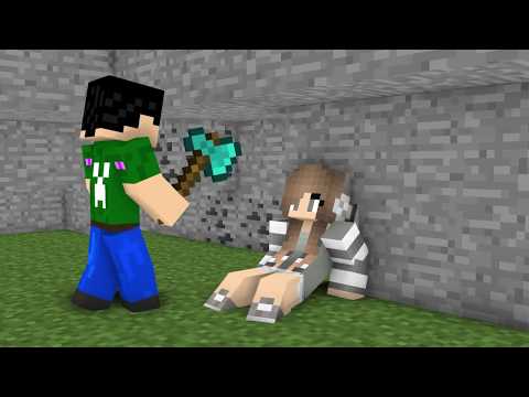 Ultimate Minecraft Villager & Witch Story!