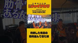 骨折した先輩の肋骨を盗んできた奴（HACHIDORI 2026） #コミックバンド #ライブ #邦ロック #バンド #コント