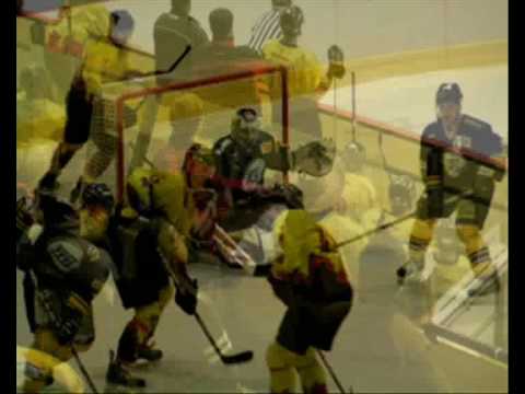 HC ZVVZ MILEVSKO - HC MĚLNÍK 4:1