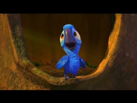 Hookah Bar | Rio Bird | Childhood Memories | Bird Song | Old Days | By Blue Production