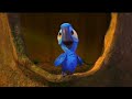 Hookah Bar Rio Bird Childhood Memories Bird Song Old Days By Blue Production