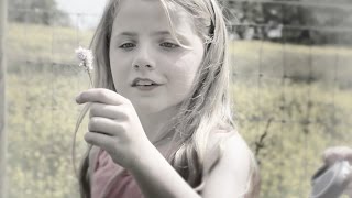 Playground Martyrs, David Sylvian, Steve Jansen.