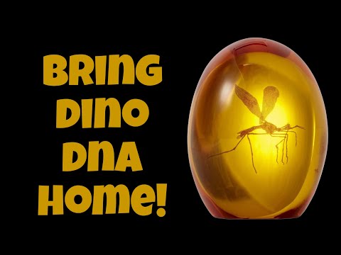 Is This Jurassic Park Amber Replica Worth It? Full Review!