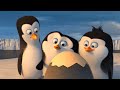 Penguins Of Madagascar Lahirlah Private Dubbing Indonesia