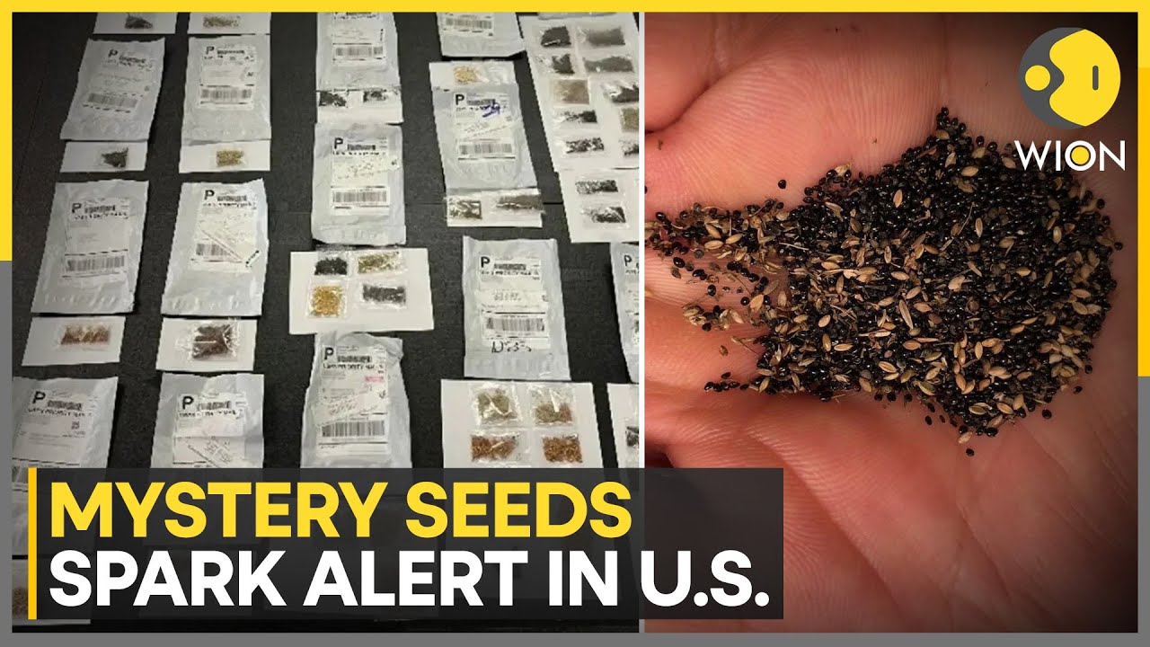 U.S. Officials: Seeds May Carry Pests, Diseases Or Invasive Plants, Packages Linked To China | WION