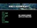 1959 Sleeping Beauty Once Upon A Dream One Line Multilanguage S T