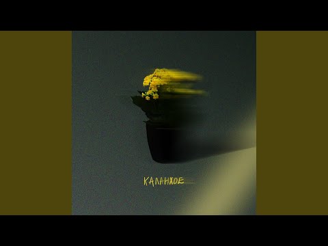 Каланхое