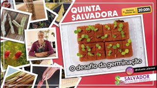 QUINTA SALVADORA 245ª EDIÇÃO | O desafio da germinação de rosas do deserto