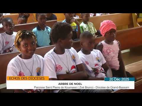 ARBRE DE NOEL A KOUMASSI ZOE