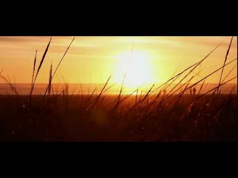 STYGLE - SAULĖS VAIKAI