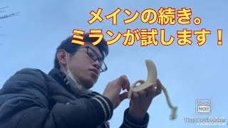 【バナナ+スプライト=嘔吐 】ミランが試します。