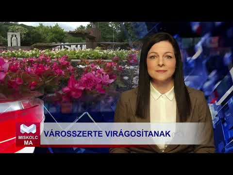 Videó előnézet