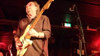 the animals : roadrunner