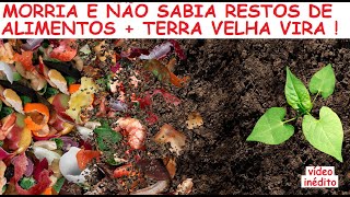 Morria e não sabia restos de alimentos + terra velha e galhos viram! fácil