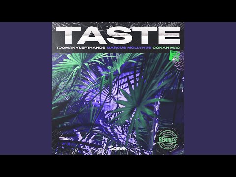 Taste (feat. Conan Mac) (Few Wolves Remix)