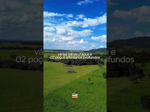 FAZENDA À VENDA – GUAPÓ/GO - Apenas 40 km de Goiânia, 110 alqueires #fazendaavenda #agro