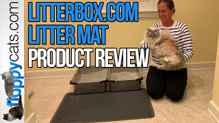 Best Mesh Cat Litter Mat Product Review