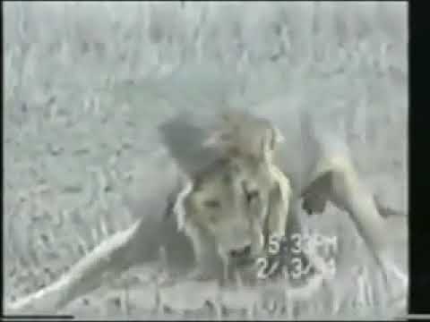 Luani në çastet e fundit të Jetës.. SubhanAllahhh | #death #islam #share #shperndaje |