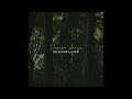 Song For The Waiting - Shadowlands