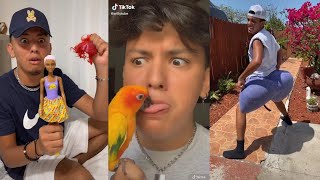 Funny WillyTube Tik Tok  2020 - Try Not To Laugh Watching WillyTube TikToks