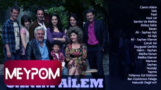 Deniz Tuzcuoğlu - Ali - Seyhan Aşk (Official Audio)