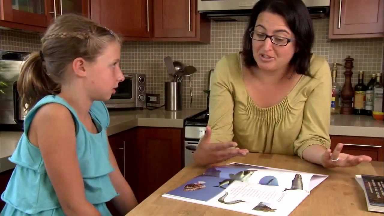 The facts on nonfiction: reading to learn