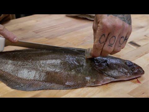 How to fillet a Petrale Sole