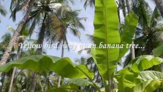 Yellow Bird [Chỉ Là Giấc Mơ Qua] by Johnny Tillotson (with lyrics)