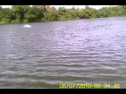 Eagle - Deep-Vee Power Boat