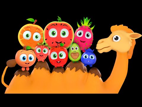 BIG Baby Sensory Collection !  Alice The Camel Kids Songs | Funky Fruits - Dance Party & Fun Video!