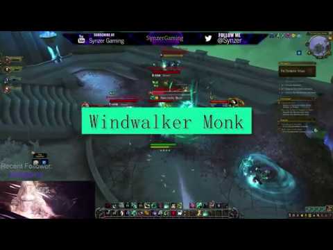 WoW Shadowlands Alpha - Windwalker Monk First Look