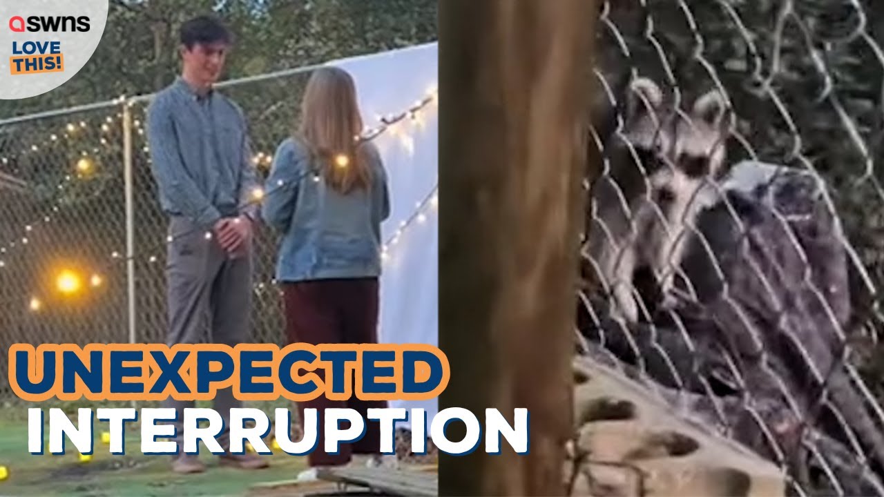 YouTube video preview