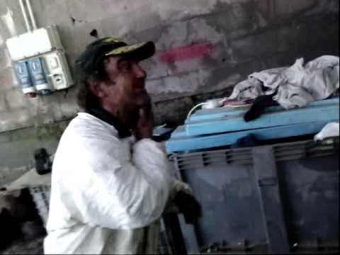 sabibi che mangia la cioccolata