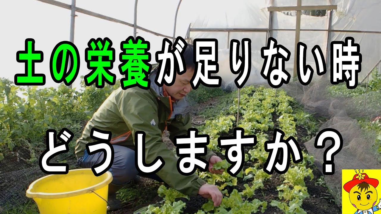自然栽培の野焼き・酸度調整・雑草管理