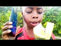 Swahili Hat Sich Geweigert Kisii Zu Erreichen Onsongocomedy Ft Mikewakofamily