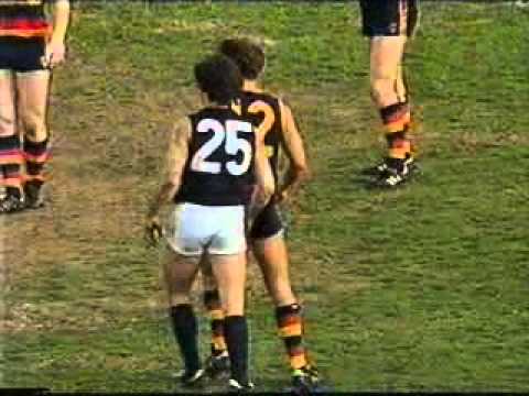 1993 AFL - 2ND SEMI FINAL - ADELAIDE CROWS  V  CARLTON