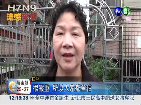 防H7N9入侵 三星鄉懸賞捕鴿