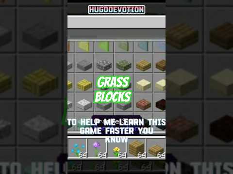 hugodevotion - Grass Blocks #minecraft #tutorial #funny #gaming #minecraftanimation #shorts