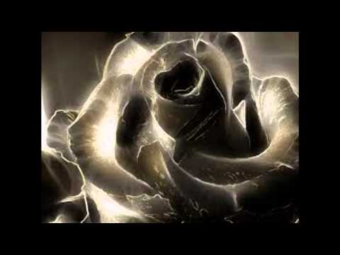 Inner Shrine ~The Rose In Wind