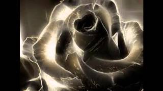 Inner Shrine ~The Rose In Wind