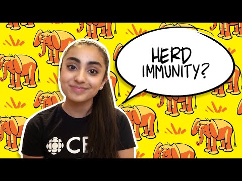 What does herd immunity mean? | CBC Kids News