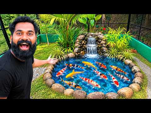 Ep 12 Building A Giant Bird House | കിളികൂട്ടിലേക്ക് മീനുകളെ വാങ്ങിച്ചു | FINIAL PART | M4 Tech |