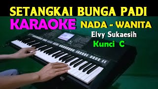 Download lagu SETANGKAI BUNGA PADI -  Elvy Sukaesih | KARAOKE Nada Wanita || C=DO mp3 Download lagu SETANGKAI BUNGA PADI -  Elvy Sukaesih | KARAOKE Nada Wanita || C=DO mp3