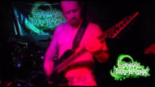 Video Carnal Diafragma - Pastelman & Semendavaj (live in Willemeen 14.