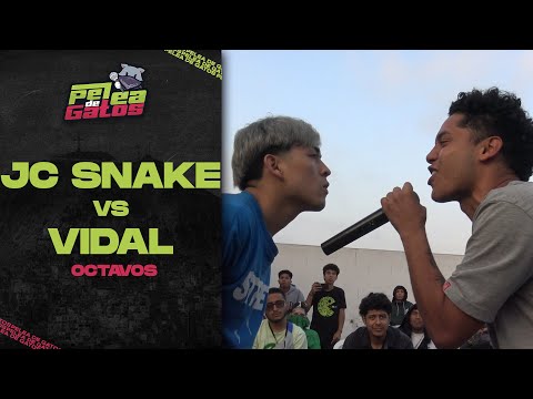 JC SNAKE vs VIDAL- OCTAVOS A // PELEA DE GATOS NACIONAL 2023 🇵🇪